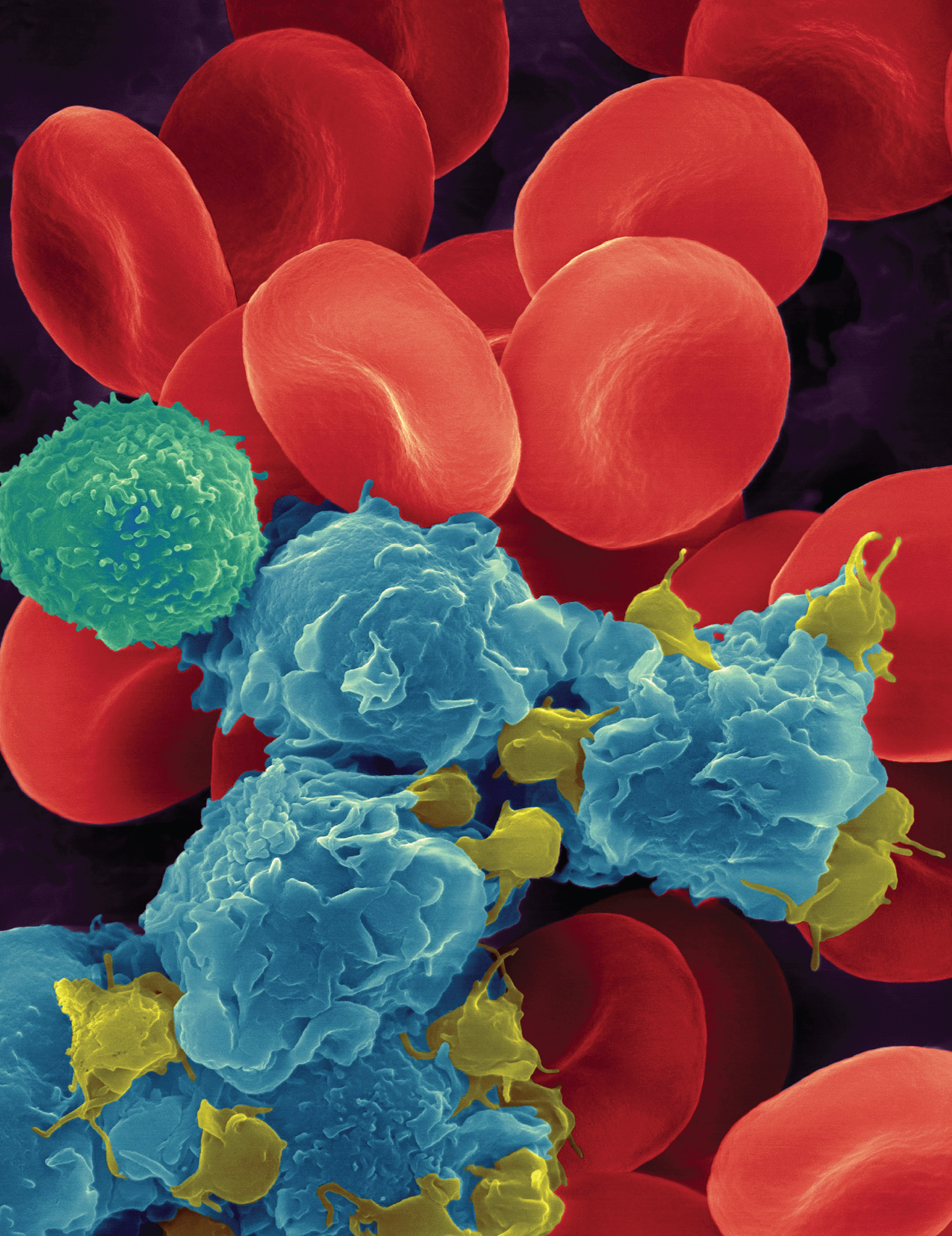 From Cells to Organisms | NGSS