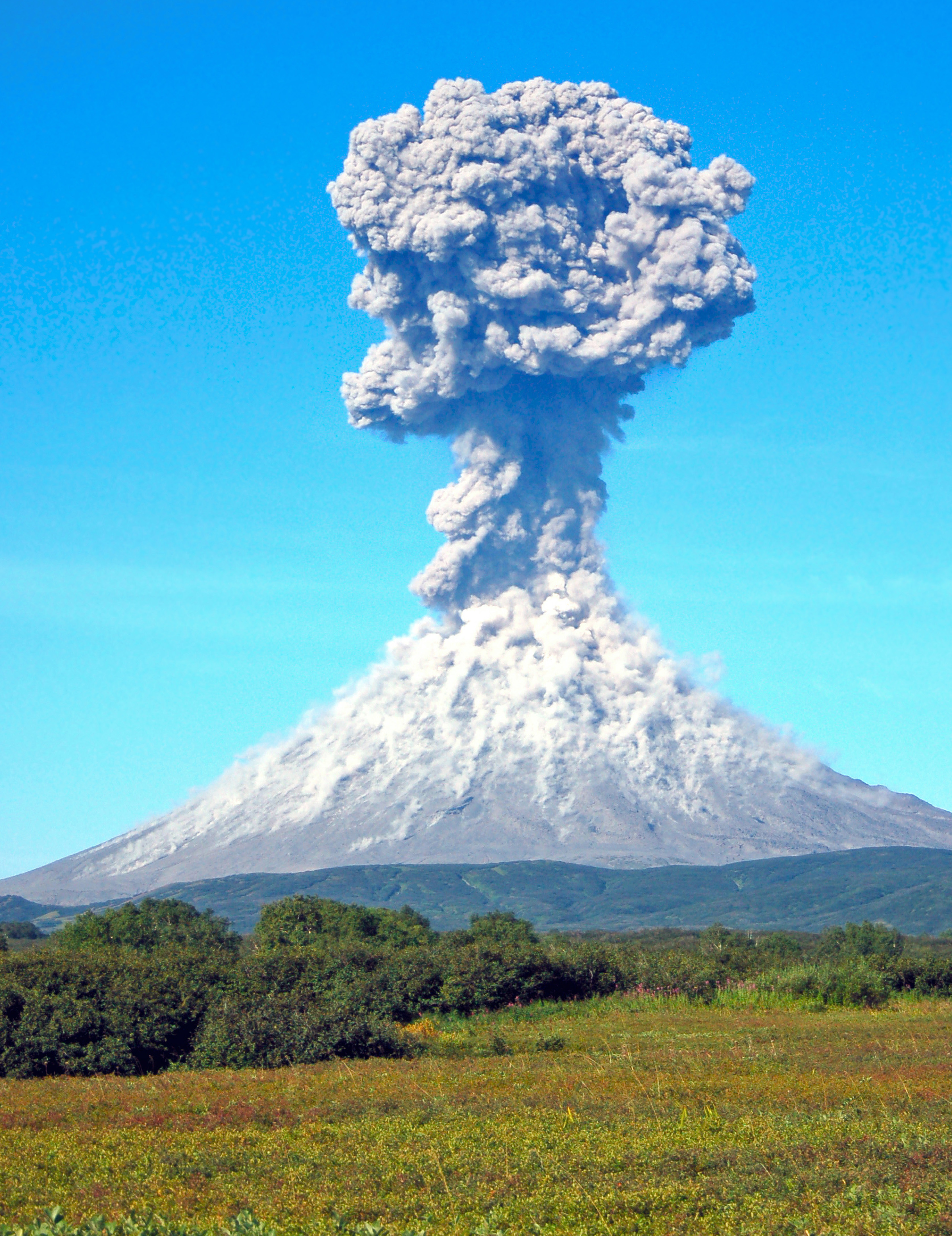 Geological Processes | NGSS