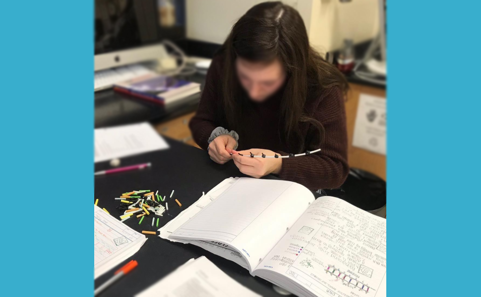 DNA, RNA, & Protein Synthesis Modeling | Lab-Aids