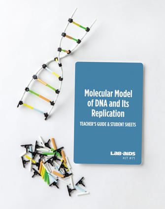 DNA, RNA, & Protein Synthesis Modeling | Lab-Aids