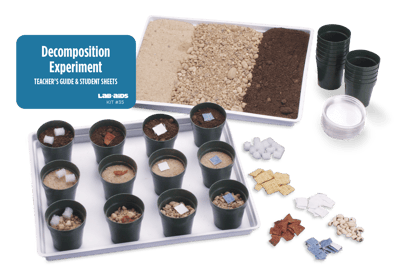 Decomposition Experiment