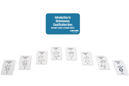 Introduction to Dichotomous Classification Keys