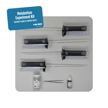 Measuring Metabolism