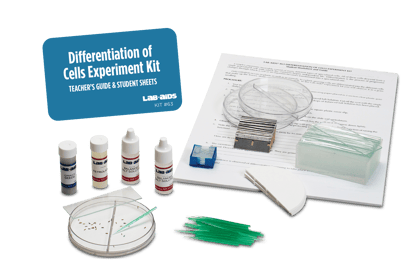 Differentiation of Cells Experiment Kit