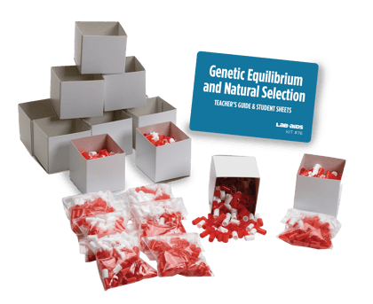Genetic Equilibrium, The Hardy-Weinhard Principle, and Natural Selection