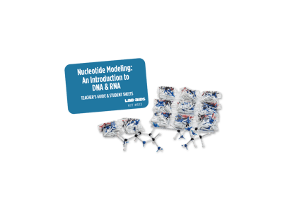 Nucleotide Modeling: An Introduction to DNA & RNA