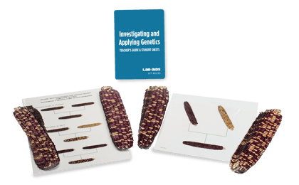 Investigating and Applying Genetics: Corn