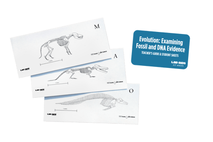 Evolution: Examining Fossil and DNA Evidence