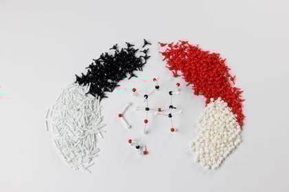 Photosynthesis, Plants, and Food