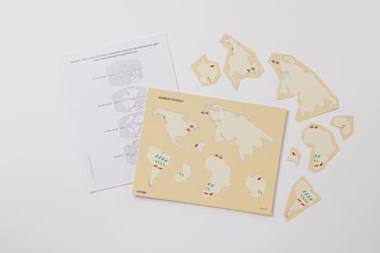 Plate Tectonics: Examining Evidence for Continental Drift