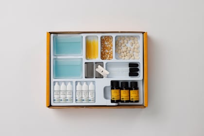 Seed Structure & Enzyme Action