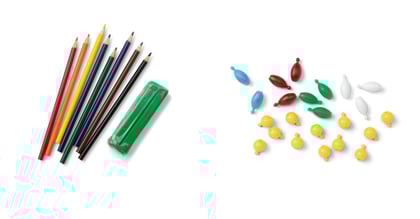Hands-On@Home | From Cells to Organisms Basic Package
