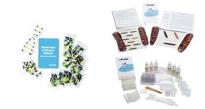 Genetics Bundle 1