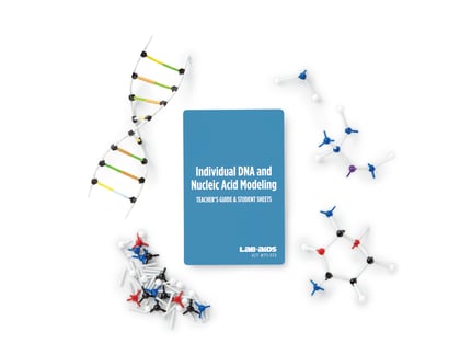 DNA & Nucleotide Modeling: Single Group