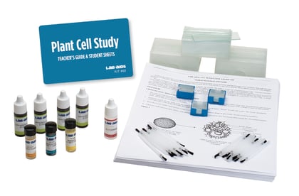 Plant Cells: Comparing Monocot and Dicot Stems