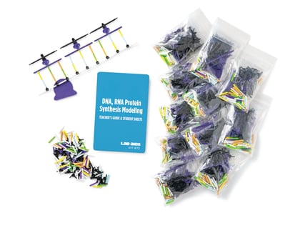 DNA, RNA, & Protein Synthesis Modeling