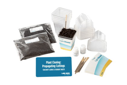 Plant Cloning: Propagating Cuttings