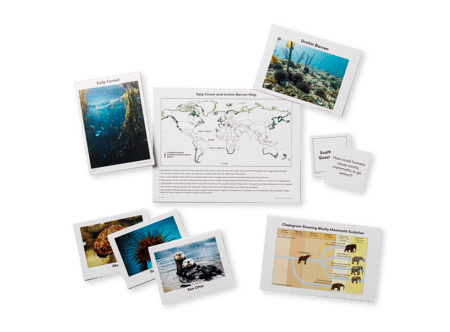 New Visions Woolly Mammoth Equipment Package | Lab-Aids