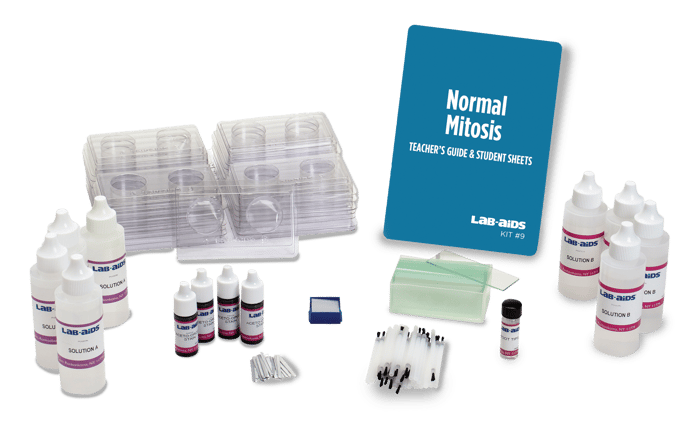 Observing Mitosis