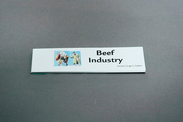 Animal Go Get It Cards, Subjects