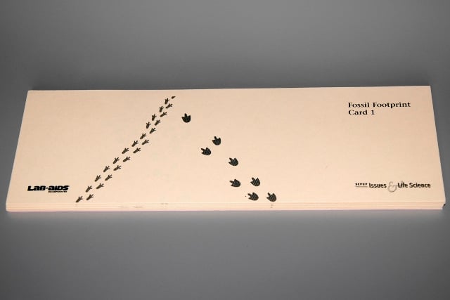 Issues and Life Science Fossil Footprint Cards, Sets Of 3