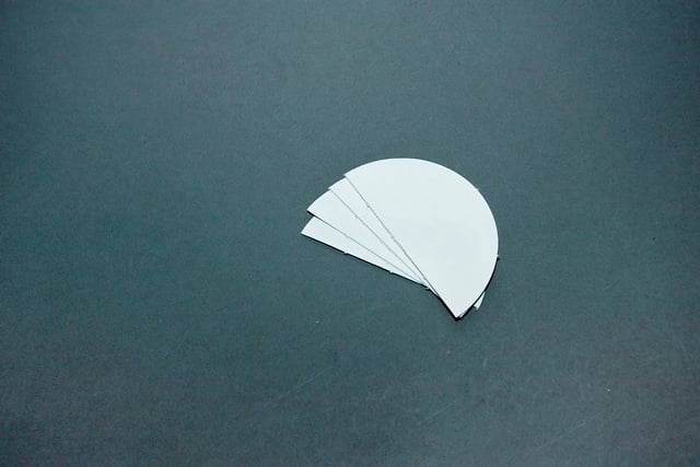 Germinating Paper - 4 pack