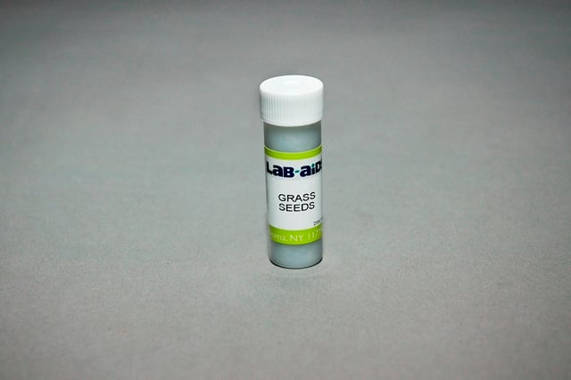 Grass Seed, vial