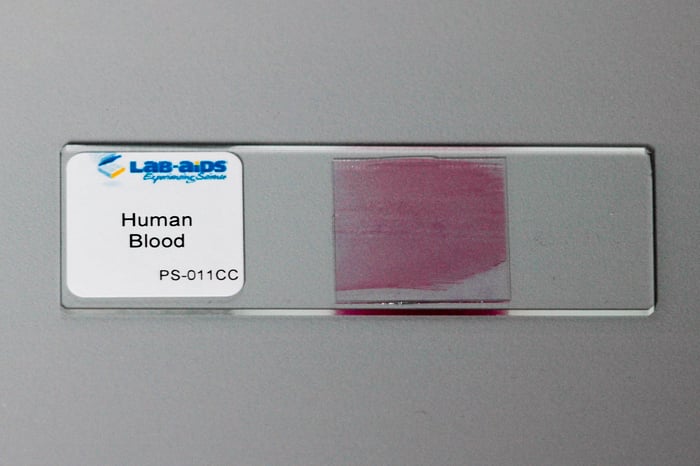 Prepared Microscope Slide, Human Blood