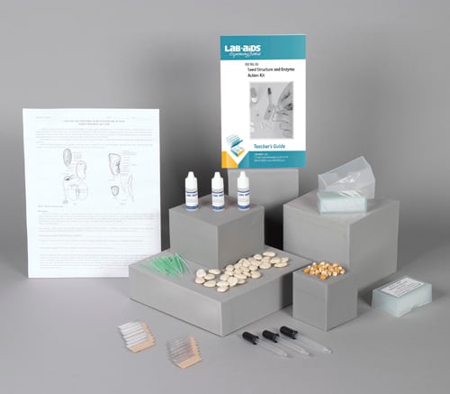 Seed Structure & Enzyme Action REFRESH-A-KIT | Lab-Aids