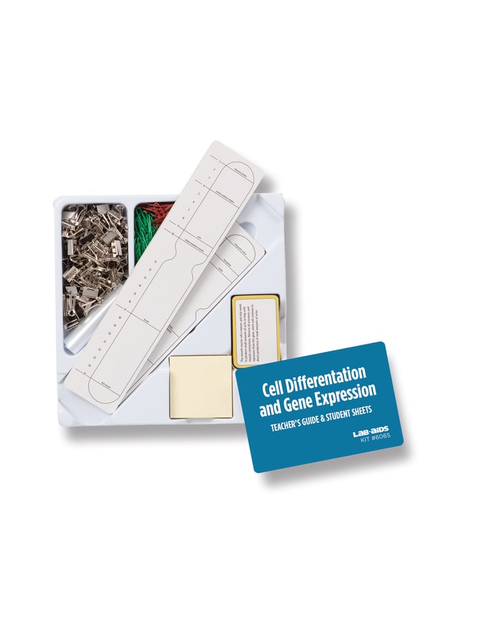 Cell Differentiation and Gene Expression LabAids