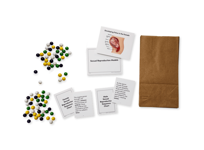 Saving the Mountain Lion