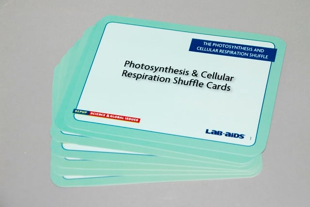 Photosynthesis And Cellular Respiration Cards, Set Of 8