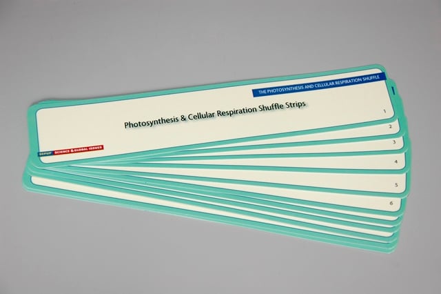 Photosynthesis & Cellular Respiration Shuffle Paper Strips, Set Of 12