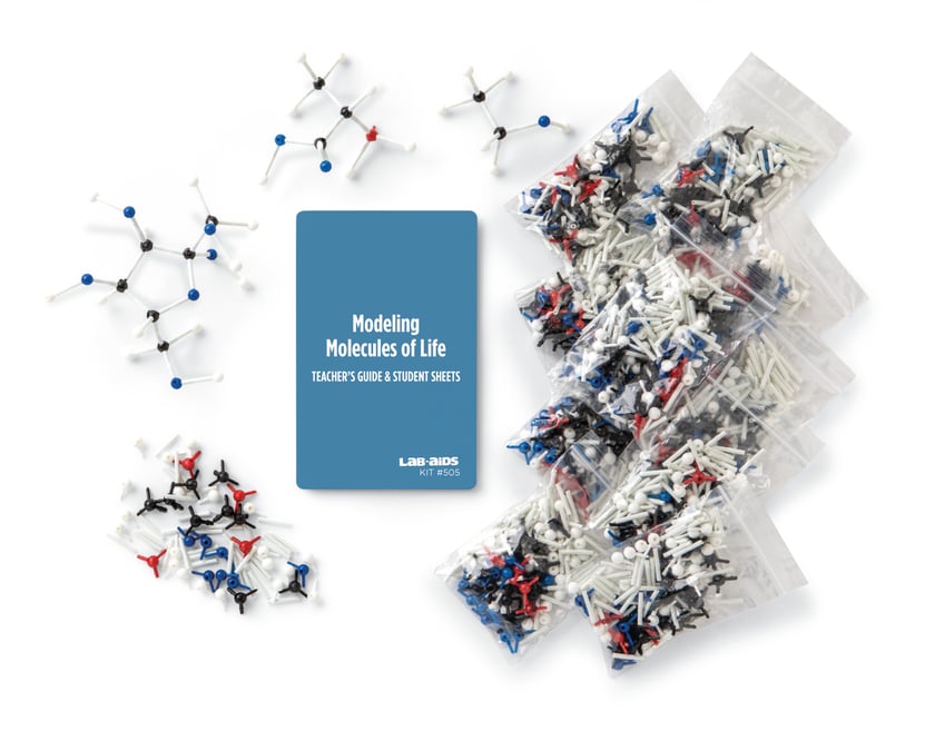 DNA, RNA, & Protein Synthesis Modeling LabAids
