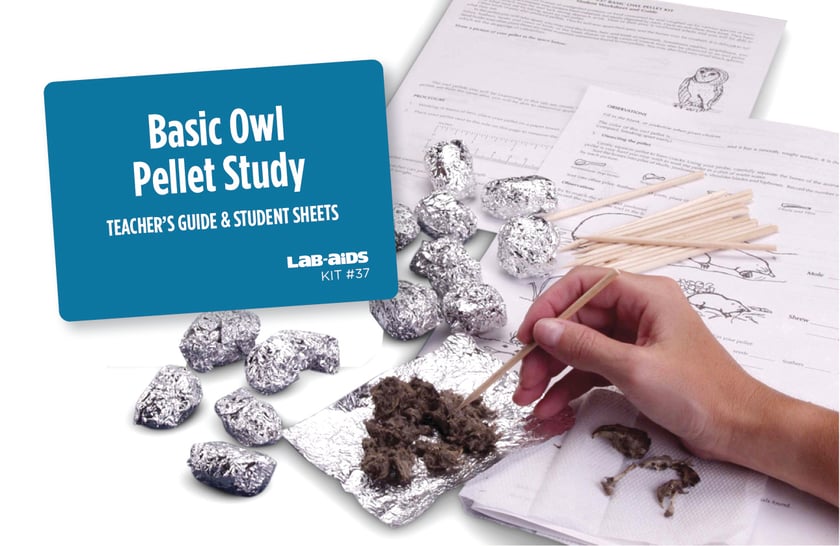 Ecological Succession LabAids